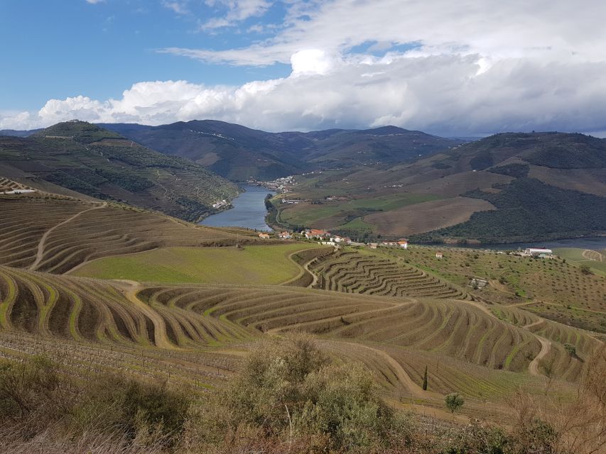 Porto: 3 Douro Valley Vineyards Tour with Lunch - Third stop at a corporate brand vineyard: big views, ports, and a final tasting push