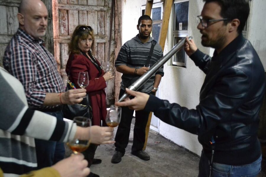 Porto: 3 Douro Valley Vineyards Tour with Lunch - Group size, guides, and what makes the experience feel personal
