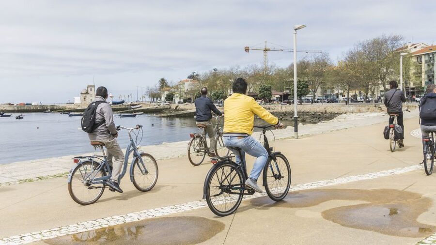 Porto: 3-Hour Bike Tour - Bikes, pace, and comfort, the stuff that decides if you enjoy the day