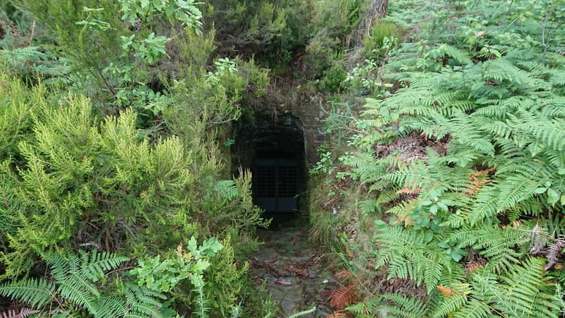 Porto: 4x4 Mountain Tour - The 4x4 Ride Reality Check: Fun Factor and Comfort Notes