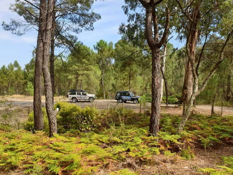 Porto: 4x4 Mountain Tour - Roman Gold Mines Views, Without the Museum Detour