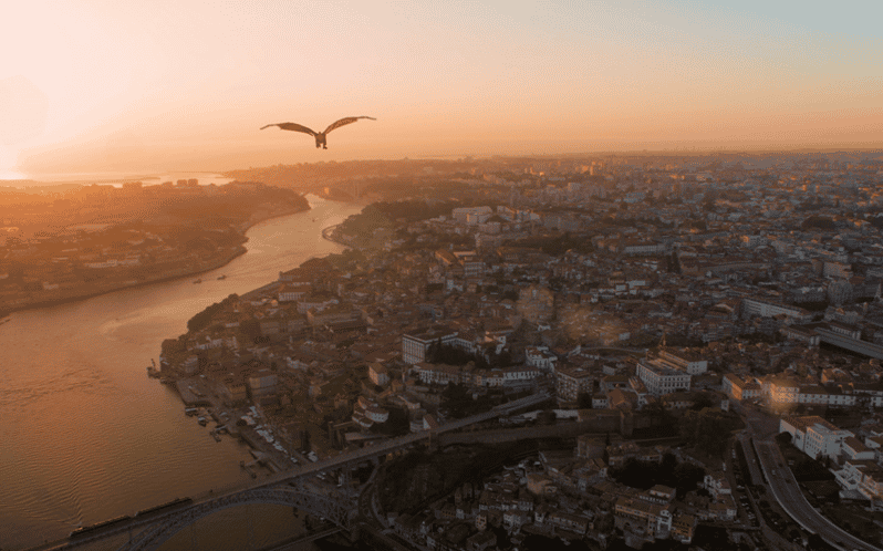 Porto: 5D Flight over de City for all family. - What You Learn Fast: How This Helps You Navigate Porto After