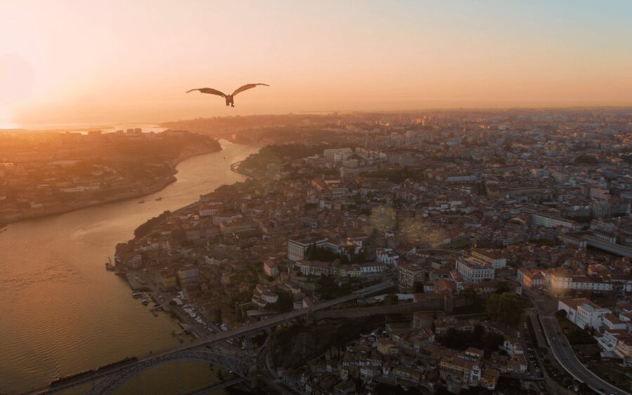 Porto: 5D Flight over de City for all family. - Language and Comfort: You Can Keep the Whole Group Together