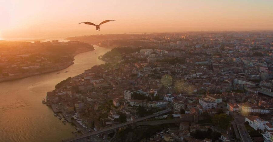 Porto: 5D Flight over de City for all family. - The 10-Minute 5D Flight: Wind, Dragon View, and Porto’s Main Sights