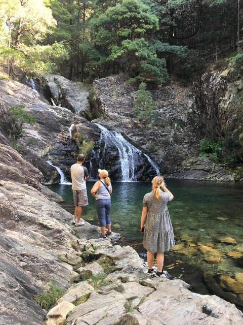 Porto and North coast Exclusive & Secret Waterfalls in 4x4 - Lunch at a typical taverna: vinho verde, tapas, and a real break