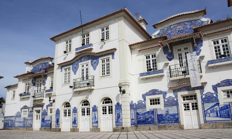 Porto:Aveiro, Cruise, Costa Nova & Capelha da Pedra Full Day - Guide quality: why names keep showing up in the best reviews