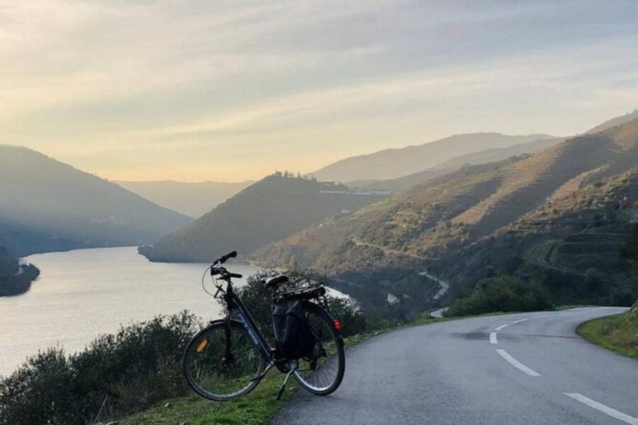 Porto: Bicycle Rental - Why Porto by Bike Works So Well