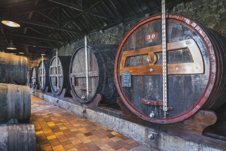 Porto: Burmester Cellar Tour with Tasting & Pairing Options - Burmester Cellars in Gaia, the Port Story in One Hour
