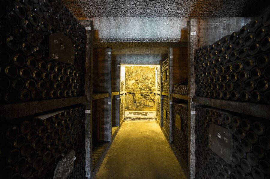 Porto: Burmester Cellar Tour with Tasting & Pairing Options - The premium upgrade: chocolate pairing that actually helps