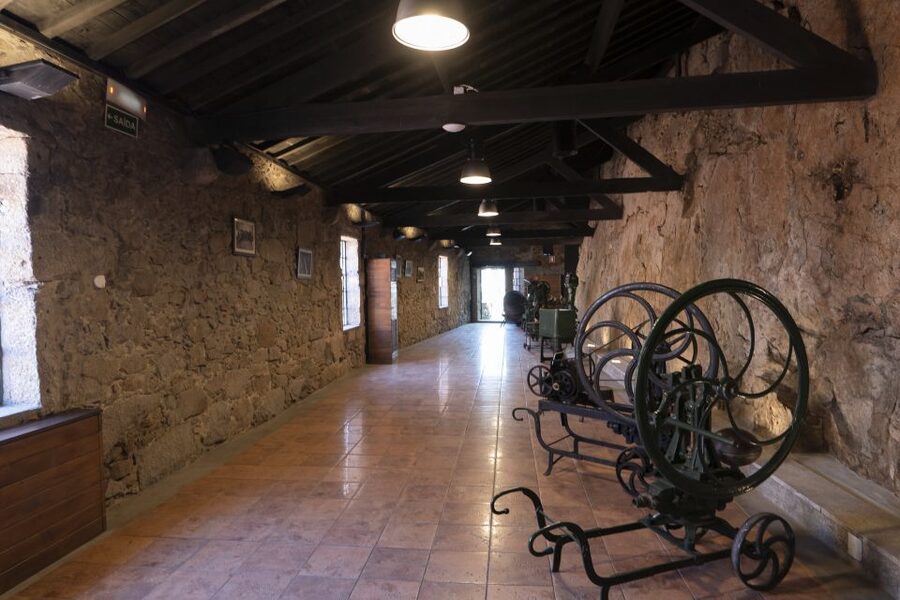 Porto: Burmester Cellar Tour with Tasting & Pairing Options - Who should book, and who might want a different Port plan