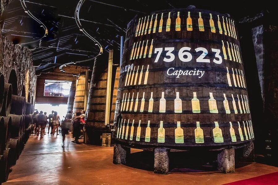 Porto: Cálem Cellar Tour, Fado Show & Wine Tasting - The Fado show: vocals, guitar styles, and comfortable audience energy