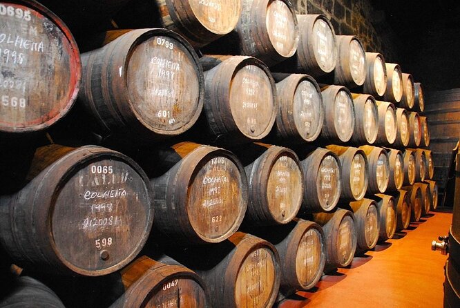 Porto: Cálem Cellar Tour, Live Fado Show and Wine Tasting - Key highlights to watch for