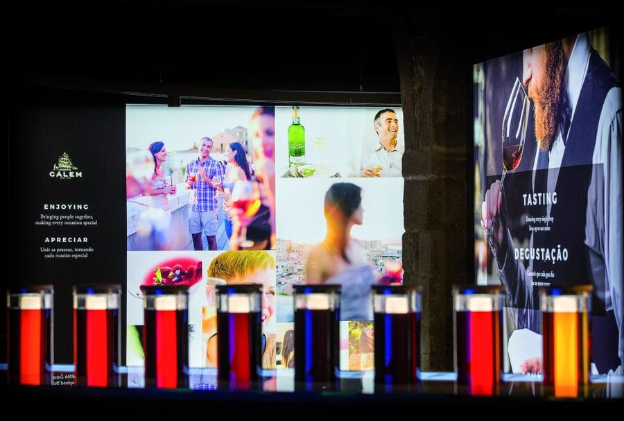 Porto: Cálem Cellar with Chocolate, Cheese, and Wine Tasting - The iconic port tasting lineup: Late Bottle Vintage, Vintage, and 20 years tawny