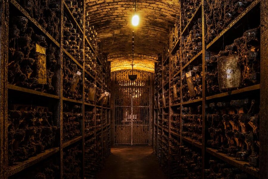 Porto: Carvalhas cellar tour at Real Companhia Velha - Key highlights you’ll actually care about
