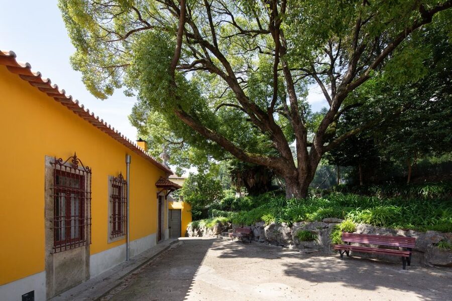 Porto: Casa São Roque Direct Entry Ticket - The winter garden experience you do not rush