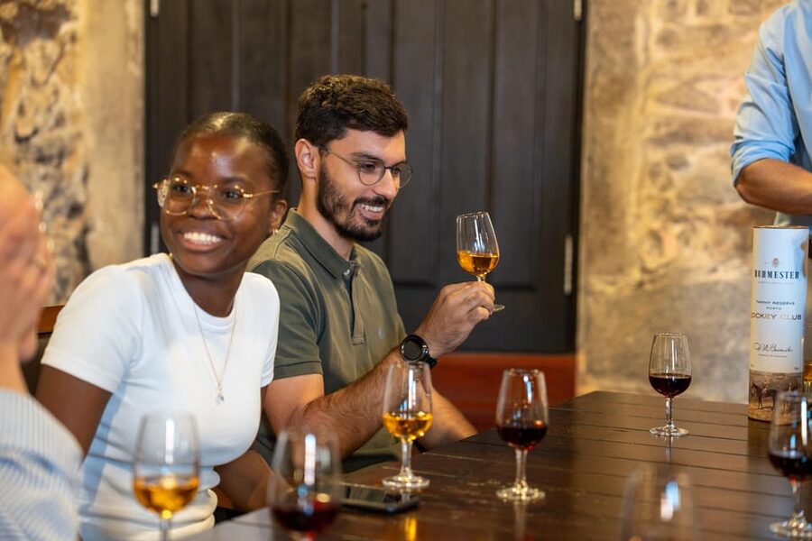Porto City Full Day Minibus Tour, Wine Tasting & Six Brigdes - Why this Porto Minibus Tour Works for a One-Day Plan