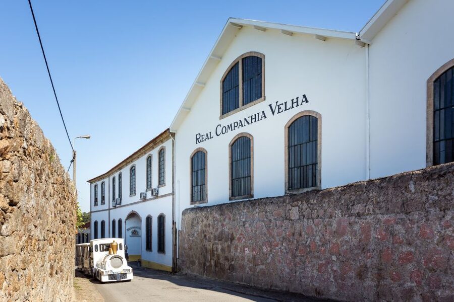 Porto: City Train Tour, River Cruise & Wine Cellar - From Porto to Ribeira: The Hour on the Douro River