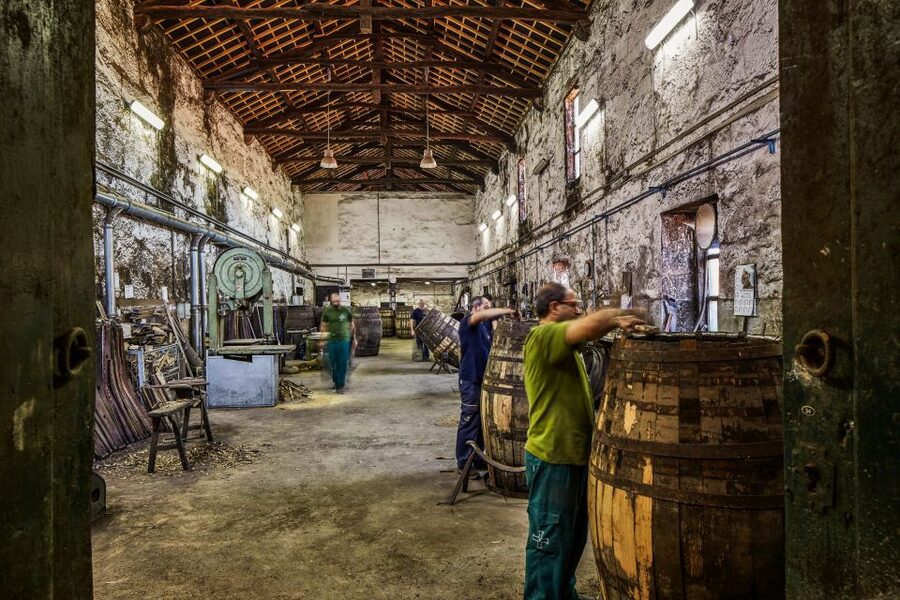 Porto: Cockburn’s Port Lodge Tour and Tasting - Time, pacing, and where to fit this into your Porto day