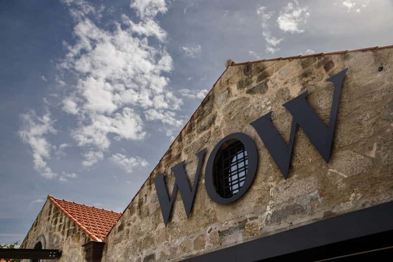 Porto: Combined Ticket for WOW Cultural District - A practical game plan for choosing your museums fast