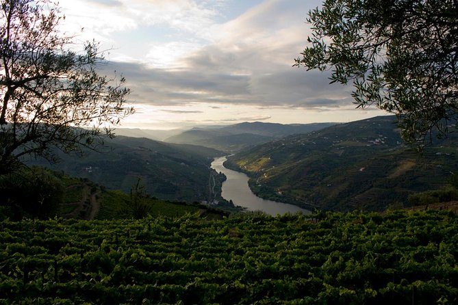 Porto: Day Trip to Douro including lunch and Rivercruise - The role of the guide, and how to get the best day