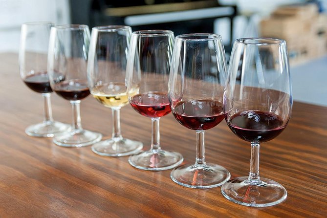 Porto: Day Trip to Douro including lunch and Rivercruise - Cais do Pinhão: cruise time plus a winery visit for Port culture
