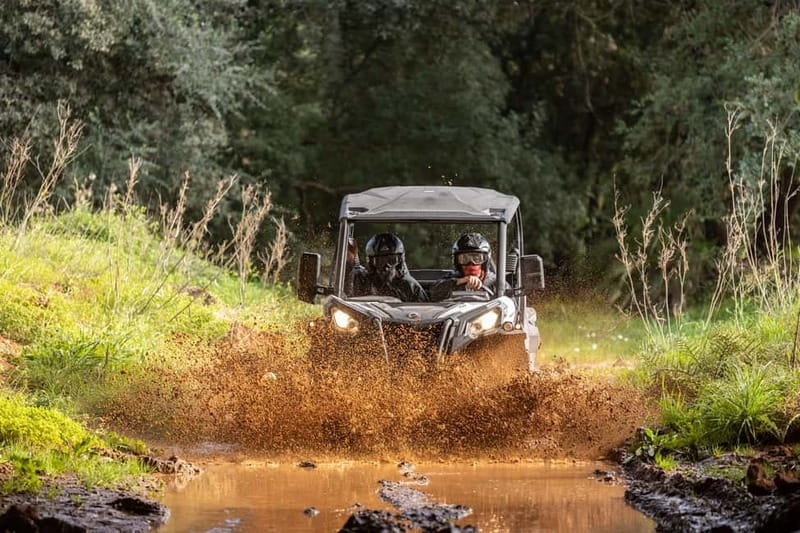 Porto: Dirt and Dust Tour by Oporto Buggy - Key Things That Make This Tour Worth Your Time
