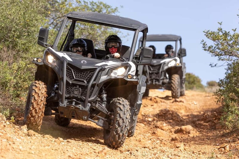 Porto: Dirt and Dust Tour by Oporto Buggy - Why This Buggy Tour Feels Like Porto in Overdrive