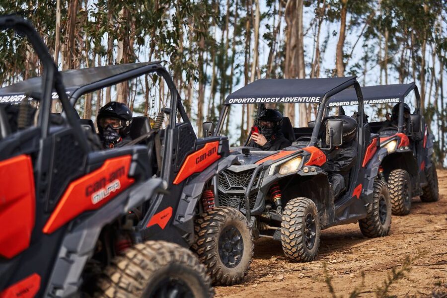 Porto: Dirt and Dust Tour by Oporto Buggy - What You Actually Drive: The 2-Seat Buggy Setup