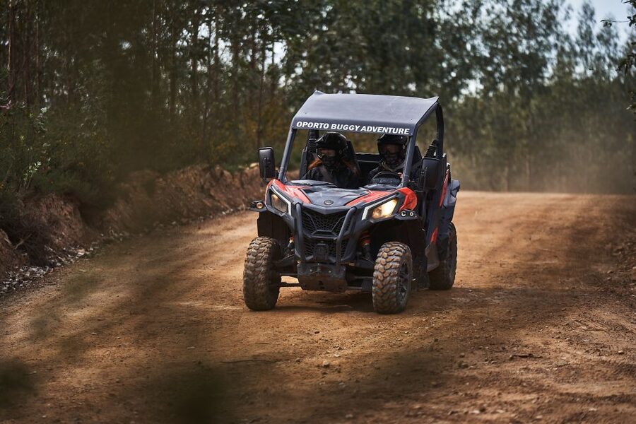 Porto: Dirt and Dust Tour by Oporto Buggy - Safety, Comfort, and Who Should Skip It