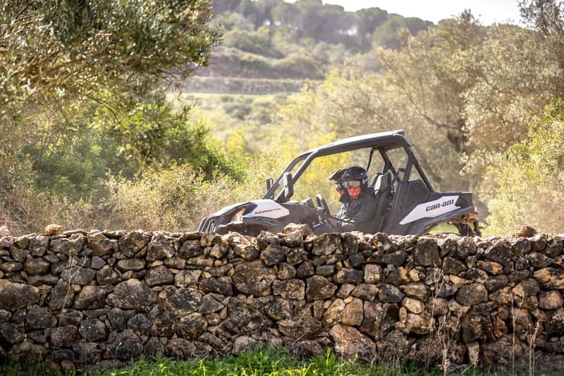 Porto: Dirt and Dust Tour by Oporto Buggy - Price and Value: $85 Per Group Up to Two