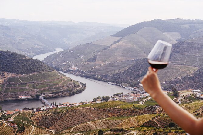Porto: Douro Valley, 2 Wine Regions, Sommelier, Boat Trip & Lunch - Miradouro Torguiano: another quick picture pause before the second winery