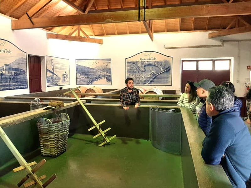 Porto: Douro Valley, 2 Wineries, Lunch & Private Boat Trip - The 30-Minute Viewpoint Stop: Where the Valley Clicks Into Place