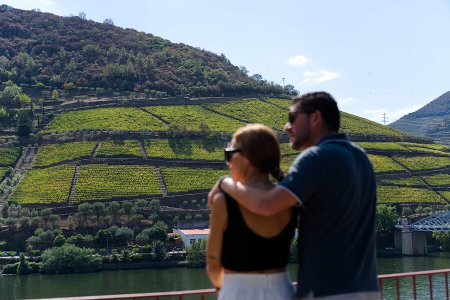 Porto: Douro Valley & Amarante Wine, Food & River Tour - Key things to look for