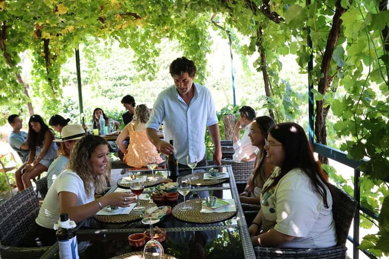 Porto: DOURO VALLEY and AMARANTE City Half-day Tour - Who this tour suits best, and who should skip it
