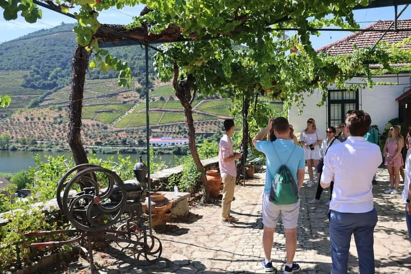 Porto: DOURO VALLEY and AMARANTE City Half-day Tour - Porto to the Douro Valley, and why the clock matters