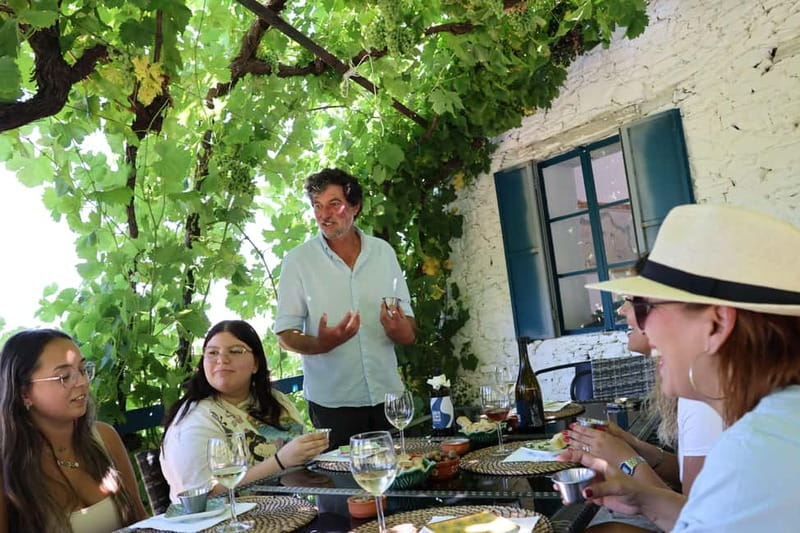 Porto: DOURO VALLEY and AMARANTE City Half-day Tour - The family winery visit and tasting you’ll actually remember