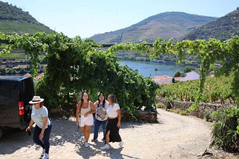 Porto: DOURO VALLEY and AMARANTE City Half-day Tour - What you should plan for during the 6-hour day