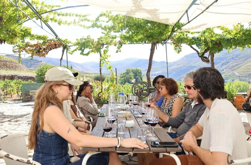Porto: DOURO VALLEY and AMARANTE City Half-day Tour - Price and value: what $81 buys you here
