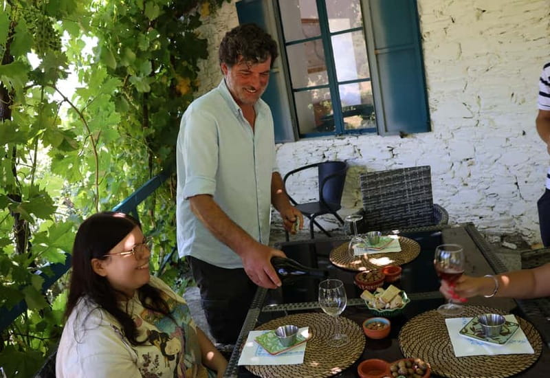 Porto: DOURO VALLEY and AMARANTE City Half-day Tour - Getting picked up: meeting point and small-group comfort