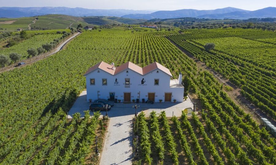 Porto: Douro Valley Day Trip with Lunch and Favaios Village - The Train to Régua: A Calm, Scenic Build-Up