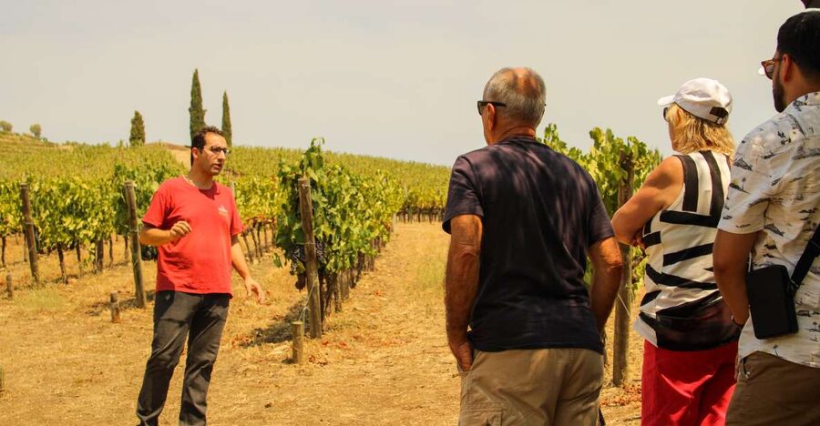 Porto: Douro Valley History & Wine Tour with Cruise & Lunch - Key things to know before you go