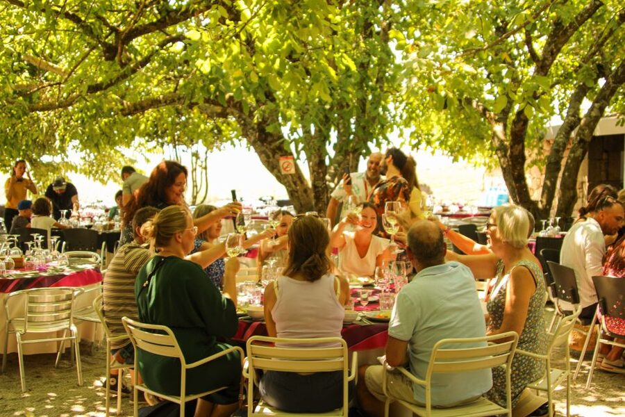 Porto: Douro Valley History & Wine Tour with Cruise & Lunch - Value at $104 per person: where your money goes