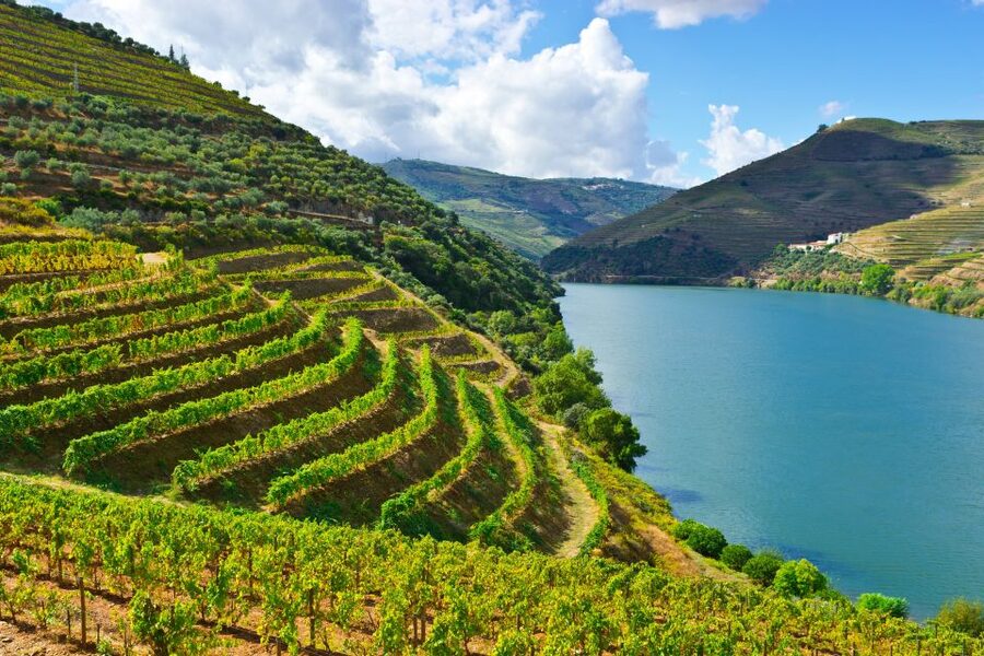 Porto: Douro Valley History & Wine Tour with Cruise & Lunch - Why this Douro Valley day tour feels like more than a wine outing