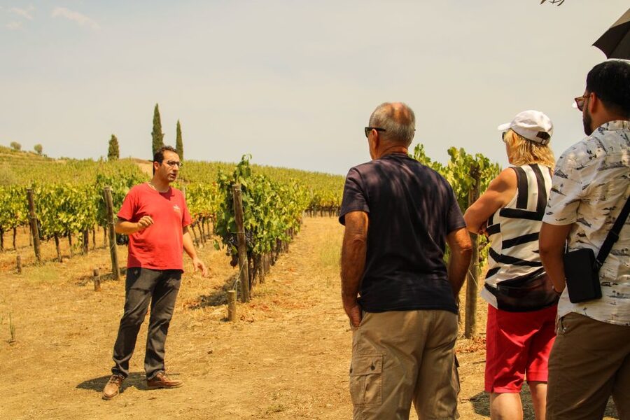 Porto: Douro Valley History & Wine Tour with Cruise & Lunch - Amarante: walking the city of love, sweets, and art
