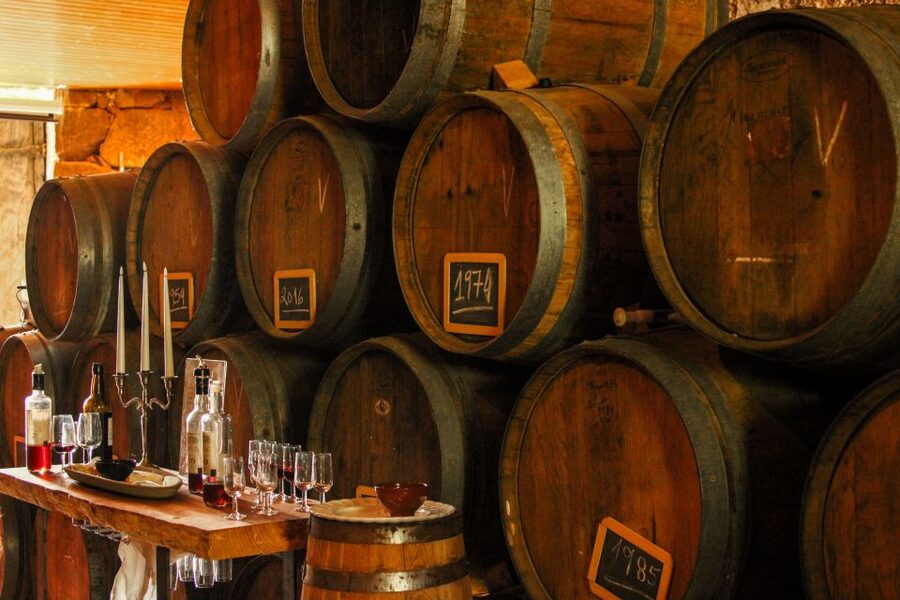 Porto: Douro Valley History & Wine Tour with Cruise & Lunch - Pinhão and the Rabelo cruise: how the river changes your view of the vineyards