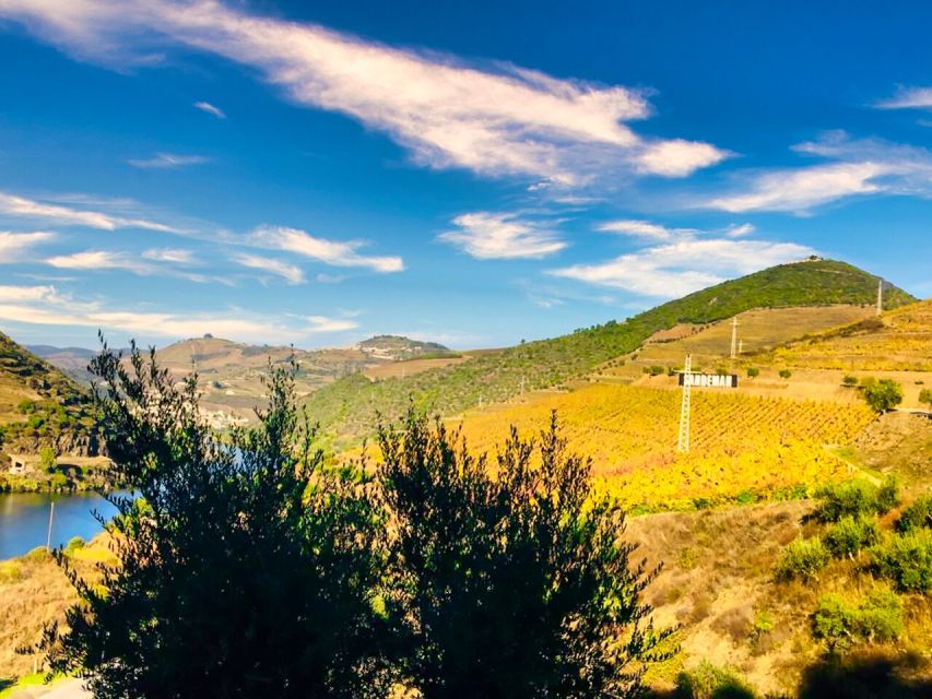 Porto: Douro Valley Private Tour 2 Vineyards & River Cruise - Final verdict, should you book this private Douro day?