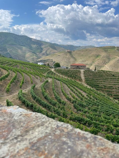 Porto: Douro Valley Private Tour 2 Vineyards & River Cruise - Porto to the Douro Valley, and why the drive is part of the experience