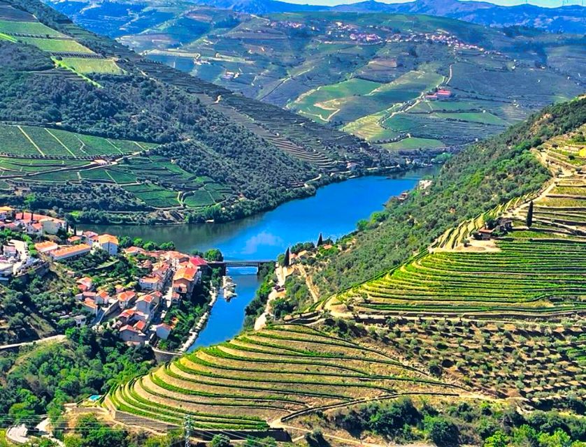 Porto: Douro Valley Private Tour 2 Vineyards & River Cruise - Vineyard tastings, Port wine, and olive oil with a real human guide