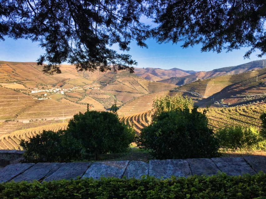 Porto: Douro Valley Private Tour 2 Vineyards & River Cruise - Sabrosa lunch at a panoramic winery, with time to slow down