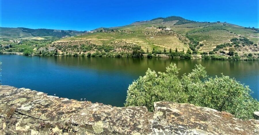 Porto: Douro Valley Private Tour 2 Vineyards & River Cruise - São Cristovão do Douro, photo stop energy, and what to watch for